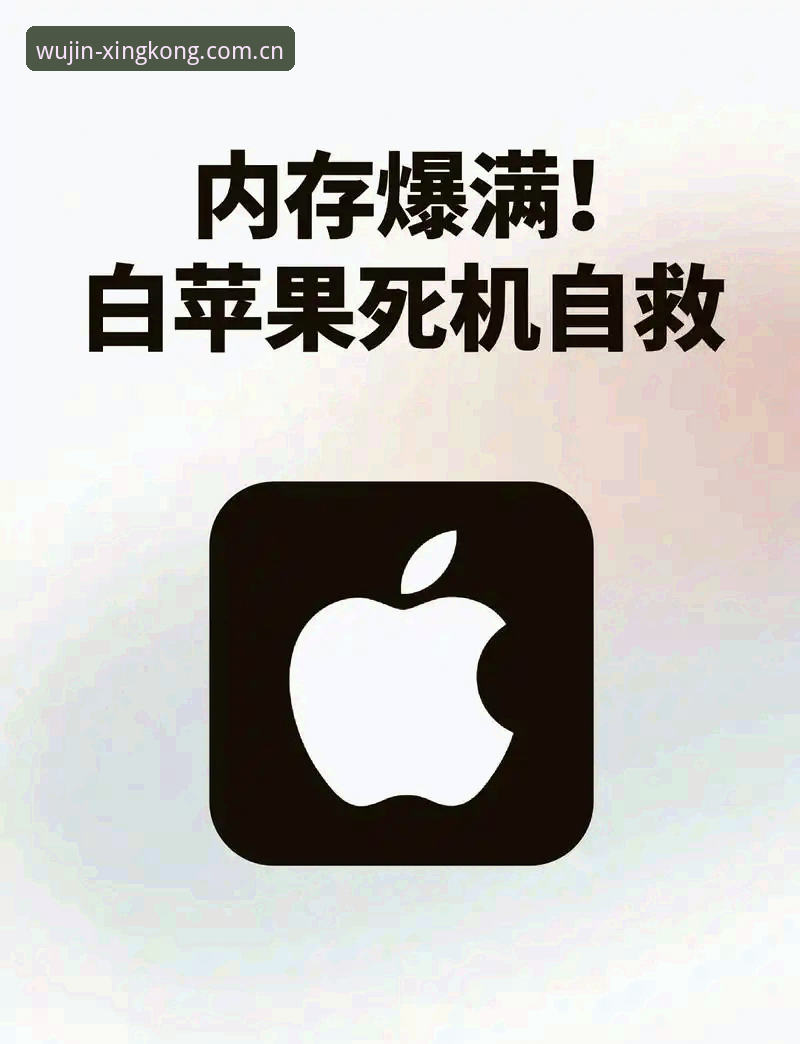 手机内存告急 vs 星空体育平台新版46.1MB：一次探索无尽灵感2025新版下载的真实体验