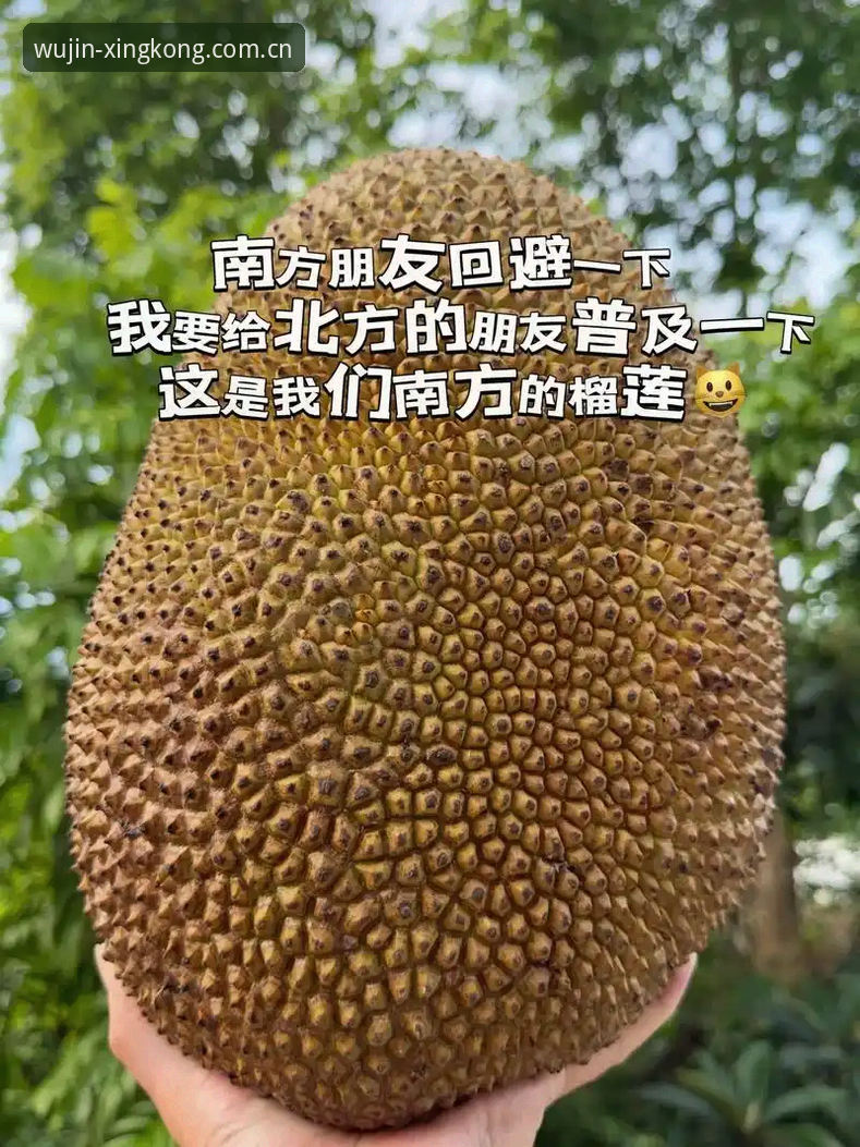 去年秋天，我一个做自媒体的朋友郑磊，半夜发来一条语音消息，语气里带着明显的烦躁。他在剪辑一批体育集锦素材，需要从不同平台、不同格式的源文件中提取片段。结果呢？一个3.7GB的MP4从某盘下载完，发现只有前半段能看，后半段直接黑屏，进度条拖过去就是转圈。他试了三个所谓“万能播放器”，两个识别不了编码，一个流畅播放但音画不同步——差了整整0.8秒。他骂了一句，又去翻另一个平台重下。那晚他折腾了快两个小时才把素材凑齐。我当时就问他：你就没有一个统一的、靠谱的工具来处理这些？他沉默了一会儿，说“有是有，但之前那个网页版体验太差了，加载慢，文件大了直接崩。”后来他给我发来一个链接，说“试试这个V2版，感觉像换了个软件。”那个链接，就是“XINGKONG星空CN · 探索无尽灵感”的V2网页版。
